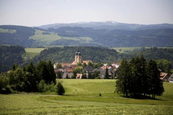 Gaestehaus Wald Und See Titisee-Neustadt Eksteriør billede